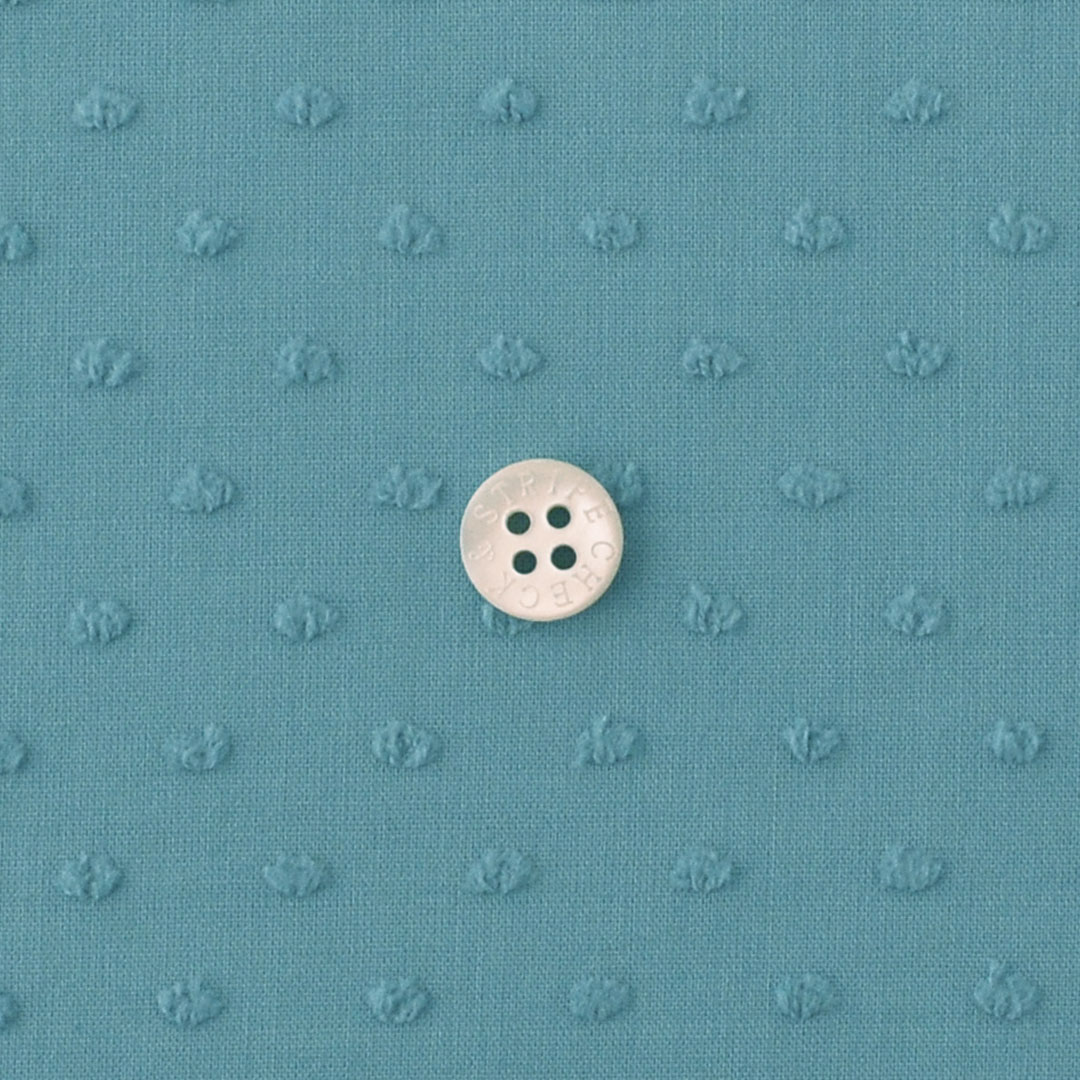 (数量限定トライアル特別20%オフ価格)C&Sオリジナルドットミニヨン(レシピ付き)　フォーゲットミーノット