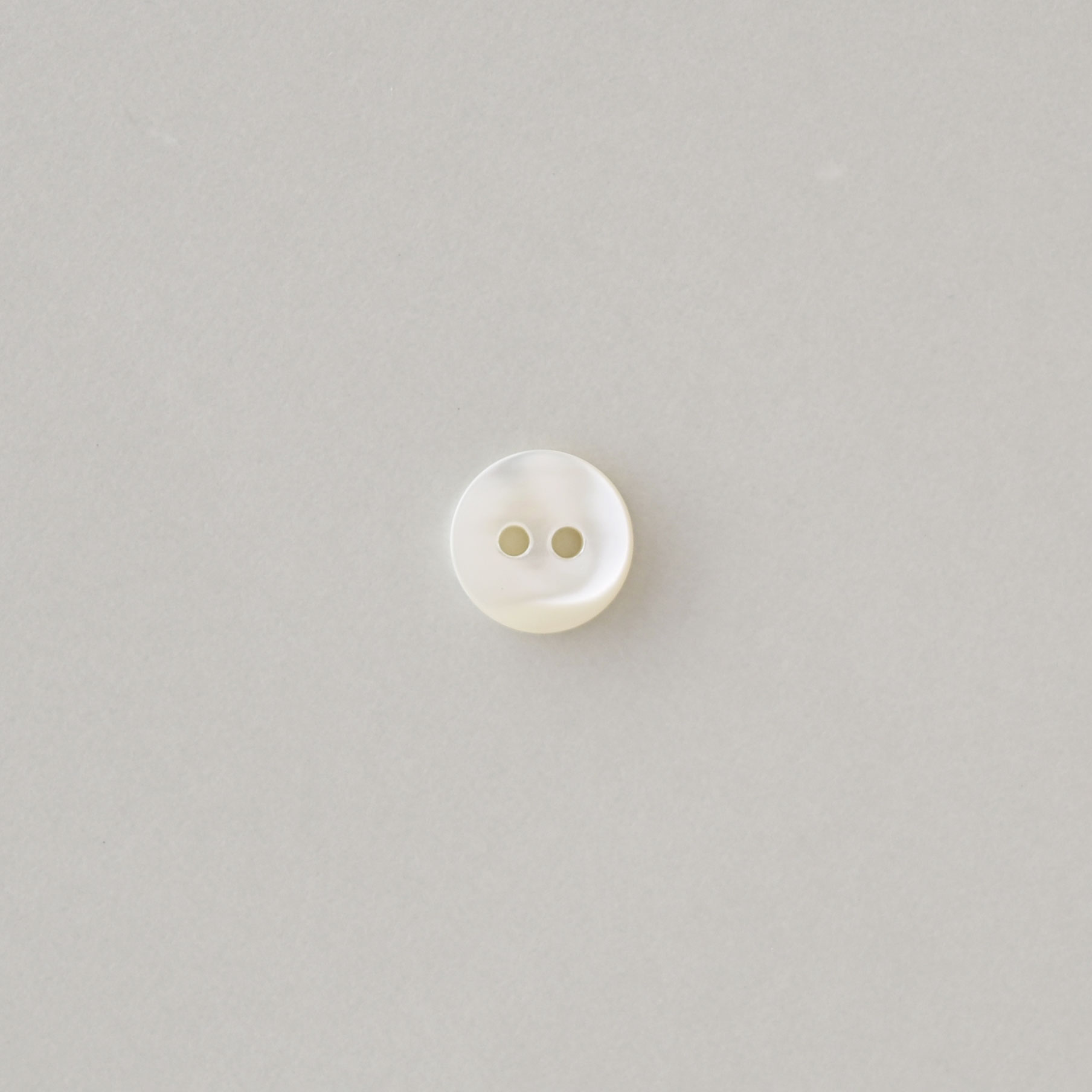 シェルボタン ホワイト(10mm)　5個セット
