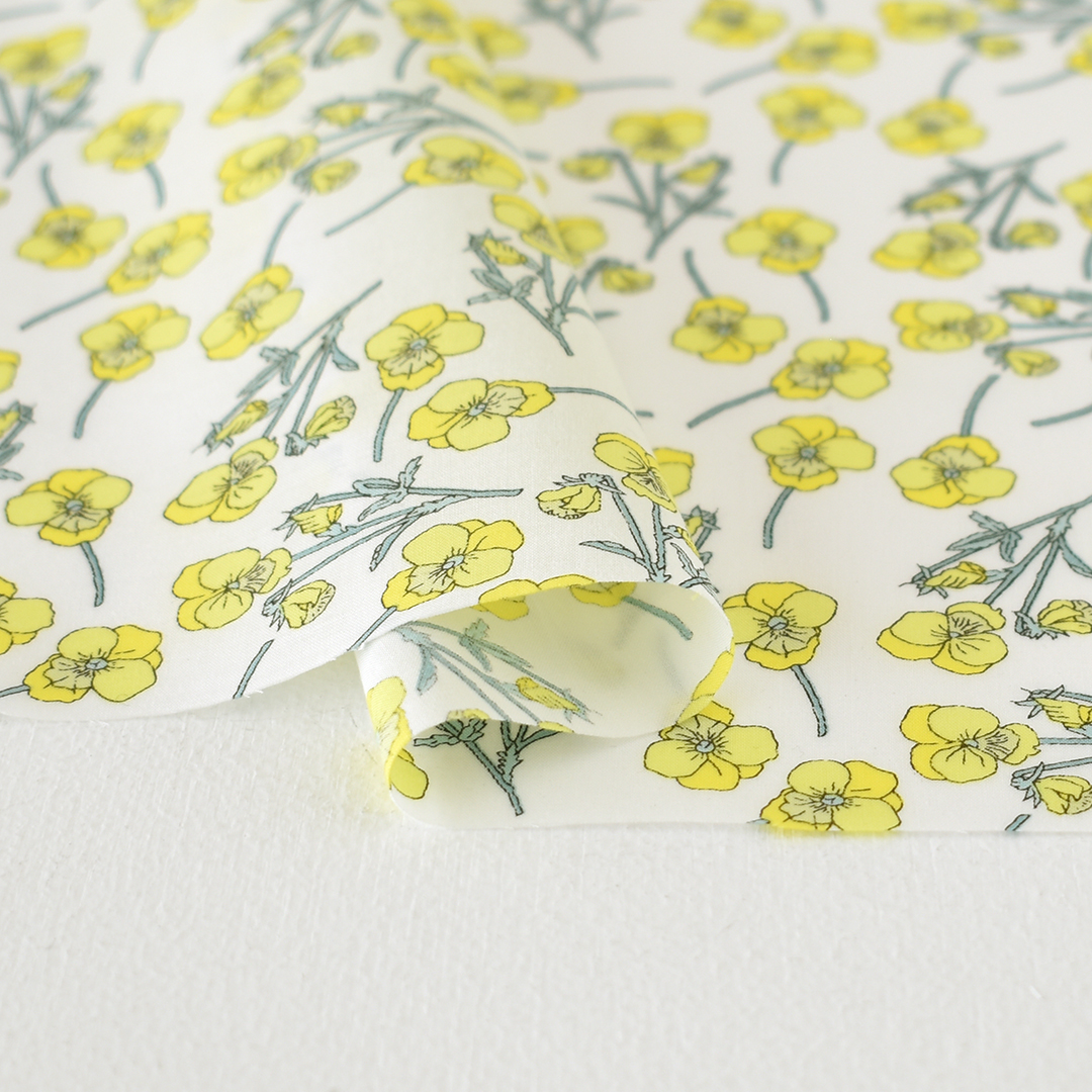 CHECK&STRIPE リバティ タナローン 不案内 Fergus（6m） 