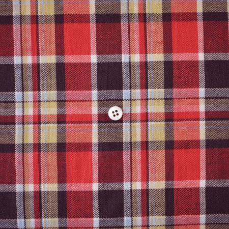 CHECK＆STRIPE / 2025年6月のDAILY FABRICS
