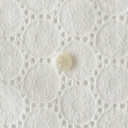 CHECK＆STRIPE / 2026年2月のDAILY FABRICS